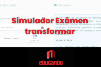 simulador transformar