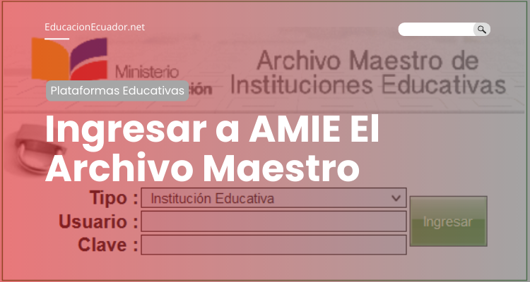 amie ministerio de educacion