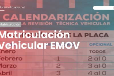 matriuclacion vehicular emov